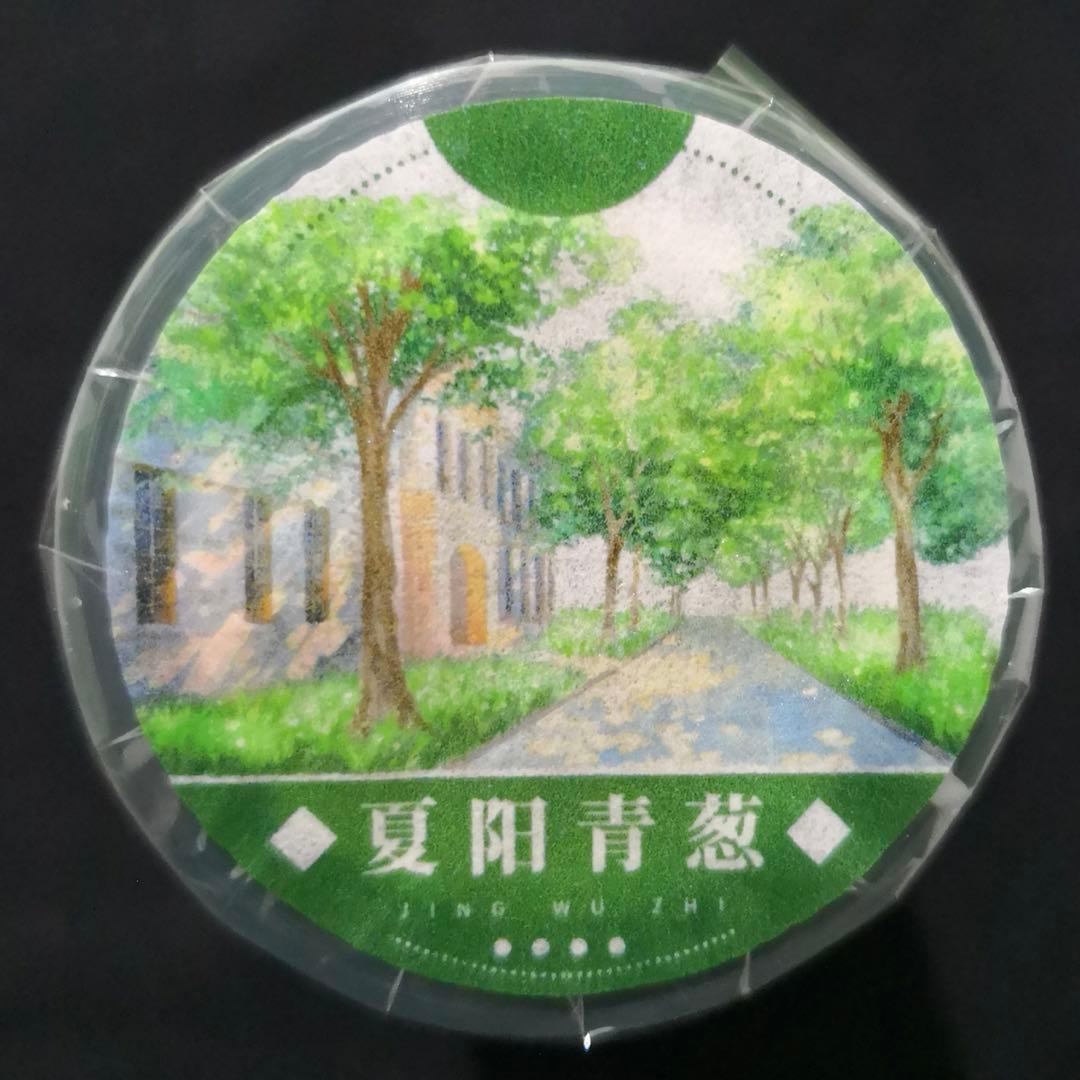 8743】海外 マステ 5m巻売り PETマスキングテープ 湖 湖面 マスキング