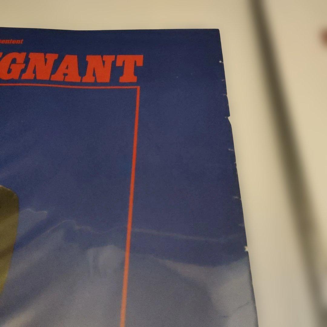 アラン・ドロン 映画「フリックストーリー」本国フランス小判ポスター