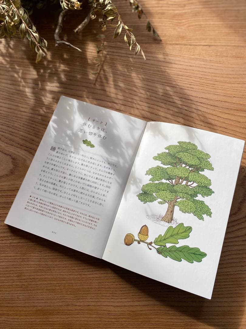 T-Rex　英国アンティークダイニングテーブル