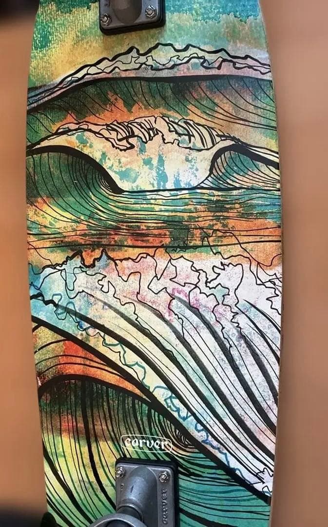 Carver スケートボード 29.0inch CX4 SWALLOW