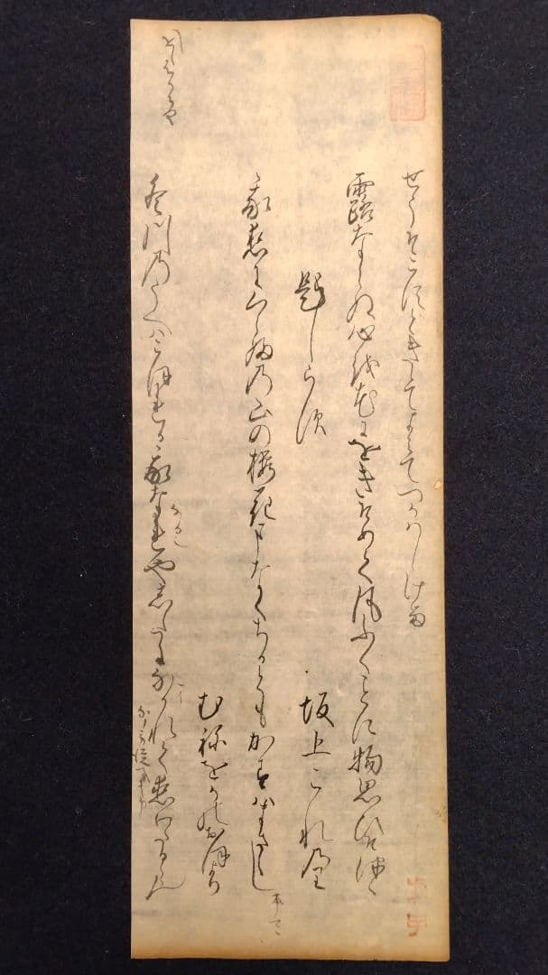 古筆589-591】古今和歌集 紀貫之 松平不昧公正室落款入 古文書茶道