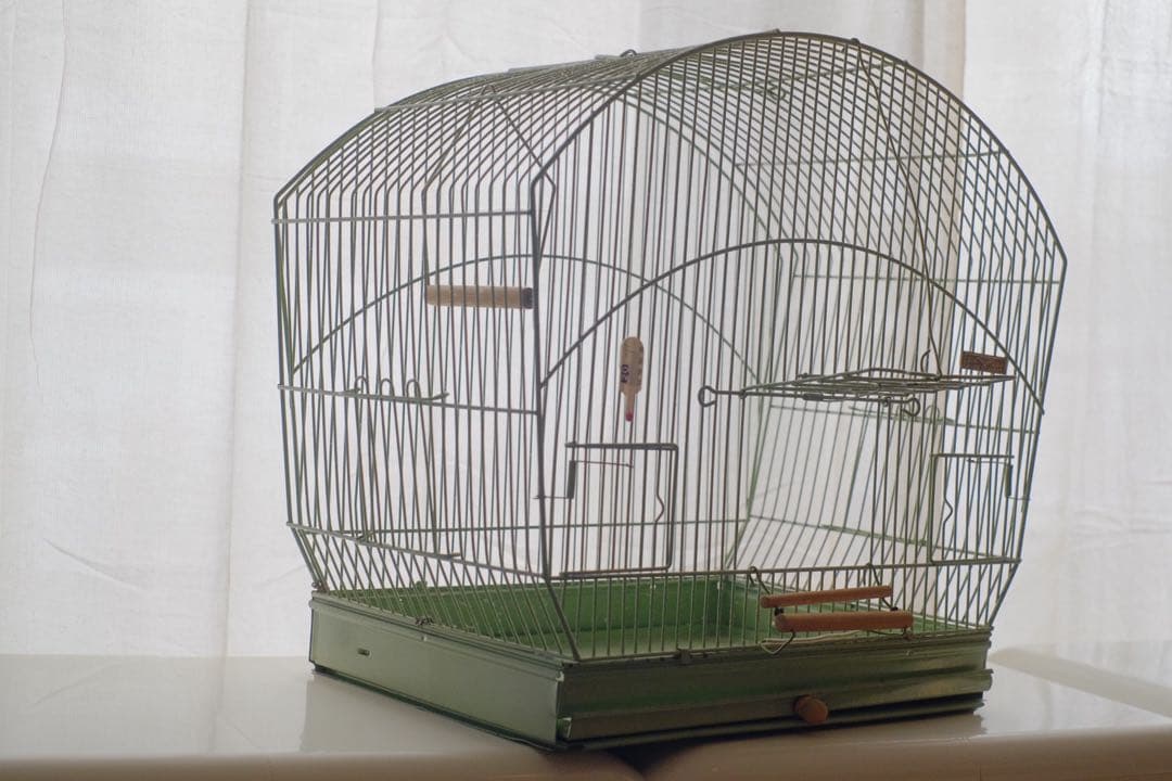 アンティーク 鳥かご バードケージ kinsen ビンテージ 文鳥 小鳥 琴線