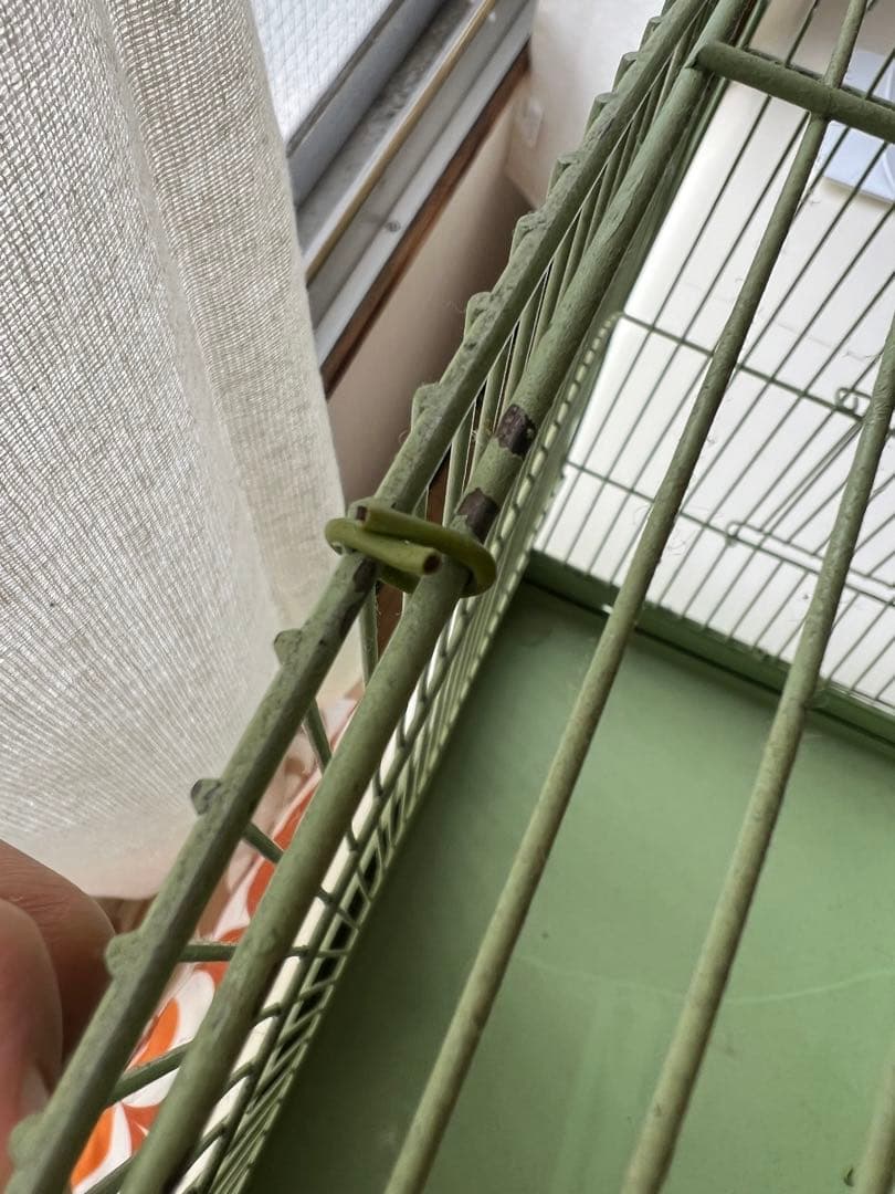 アンティーク 鳥かご バードケージ kinsen ビンテージ 文鳥 小鳥 琴線