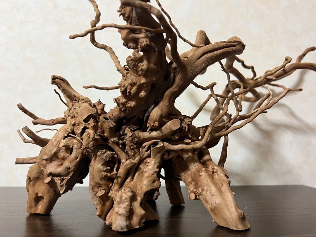 11206 ブランチウッド 流木 アクアリウム 沈水確認済