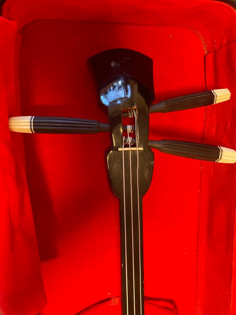 ジ*ニ様 三線本体 ヘビ皮製 専用ケース付き 古い 補修あり