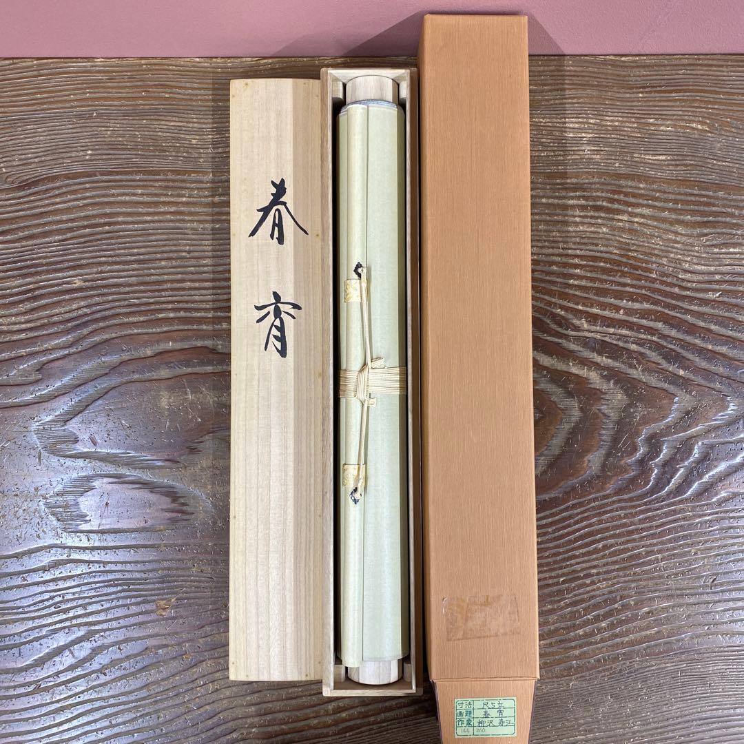美品 掛け軸 柳沢寿江作 春宵図 桜 共箱 太巻き 縁起物