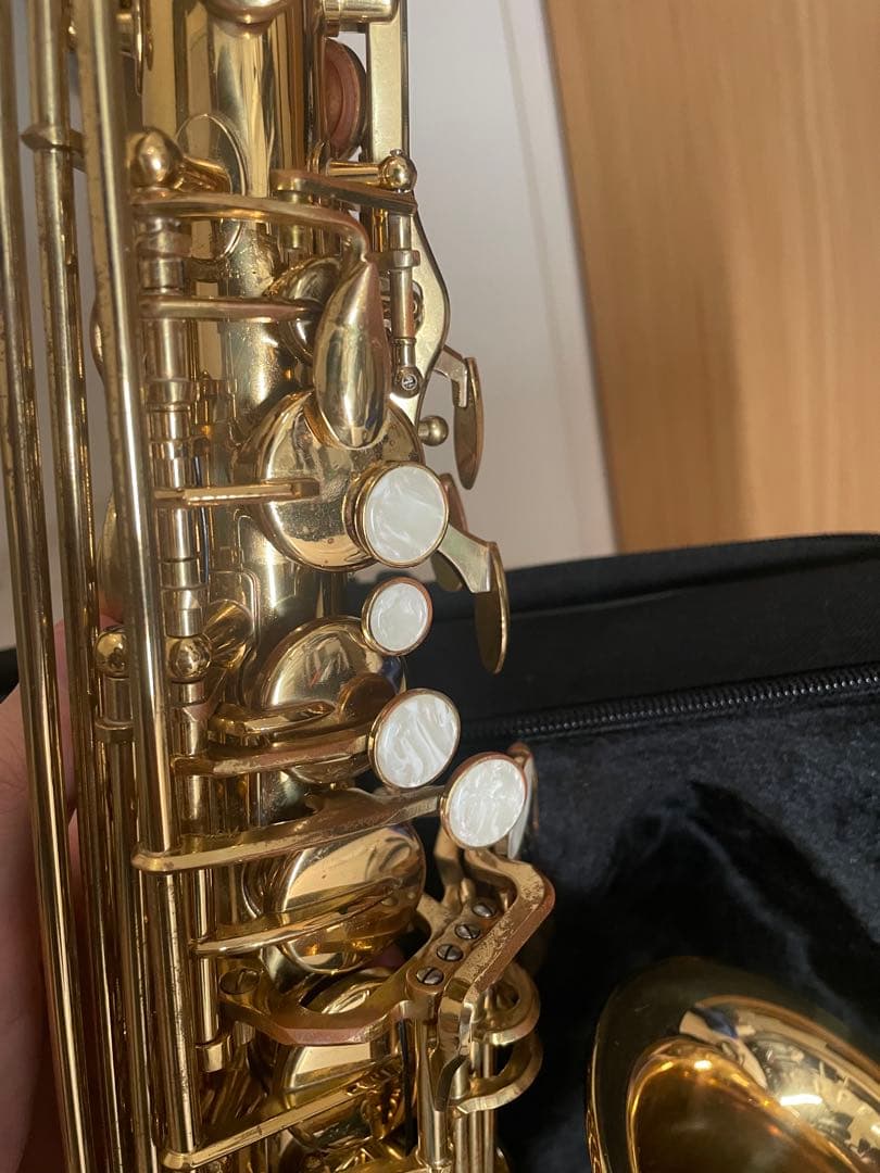 Kaerntner アルトサックス KAL-62 動作確認済み