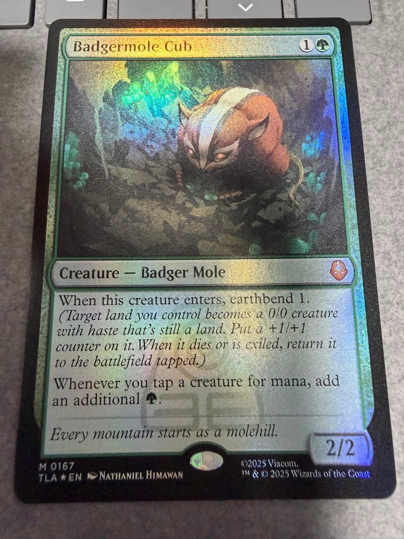 MTG アナグマモグラの仔 英語 FOIL アナグマモグラの仔⁄Badgermole Cub