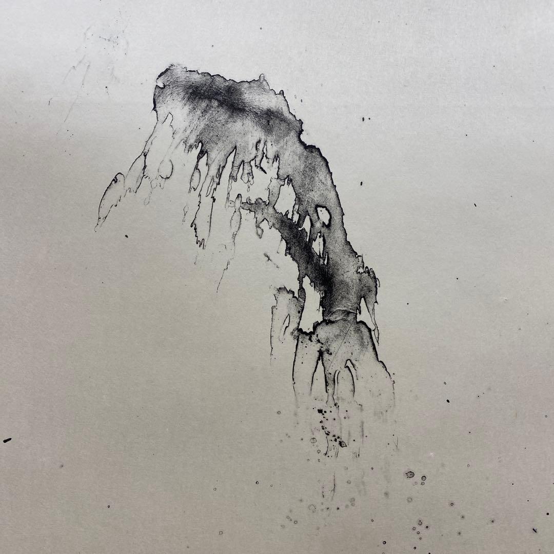 美品 超特大！掛け軸 天野喜孝作「妖花」リトグラフ 作品保証書付き