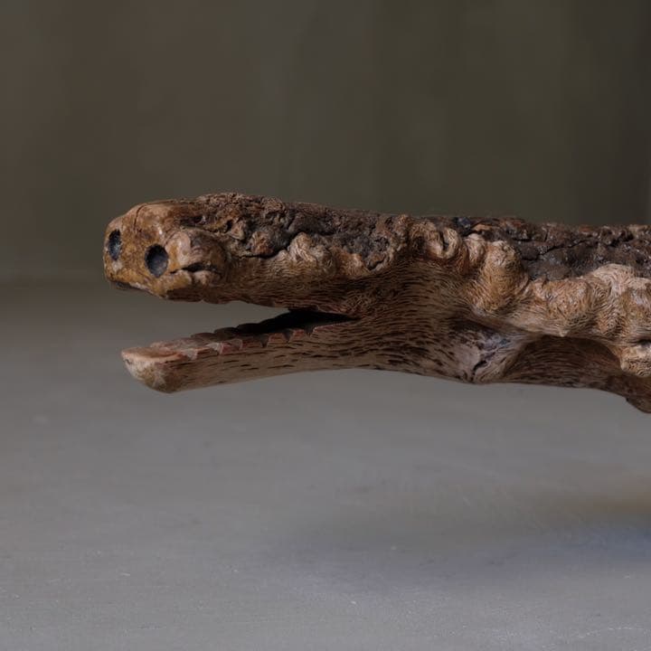 瘤杢 ワニのオブジェ 流木 古材 木製 置物 アート 芸術 アンティーク