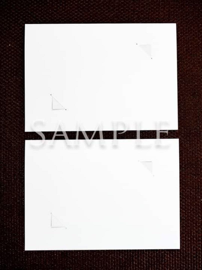 Schnabel Effects（Ps）カード＆缶バッジ