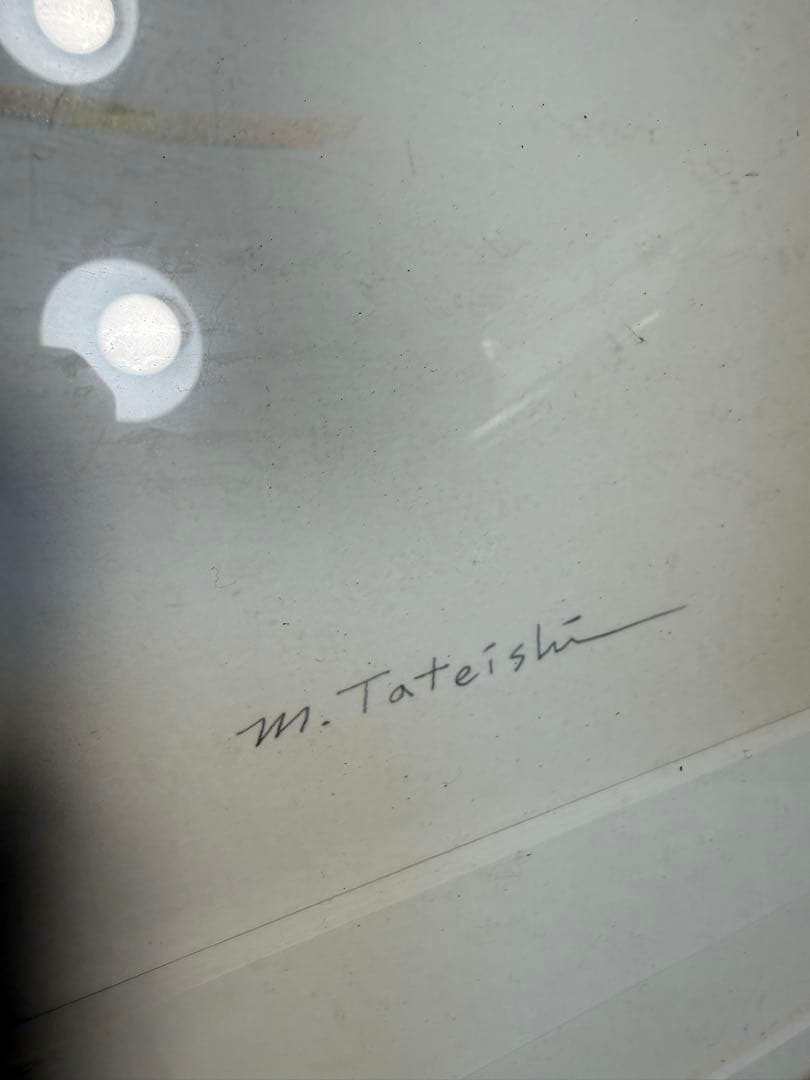 限定25/175 植物写実版画 額装 M.Tateishi ボタニカルアート - メルカリ