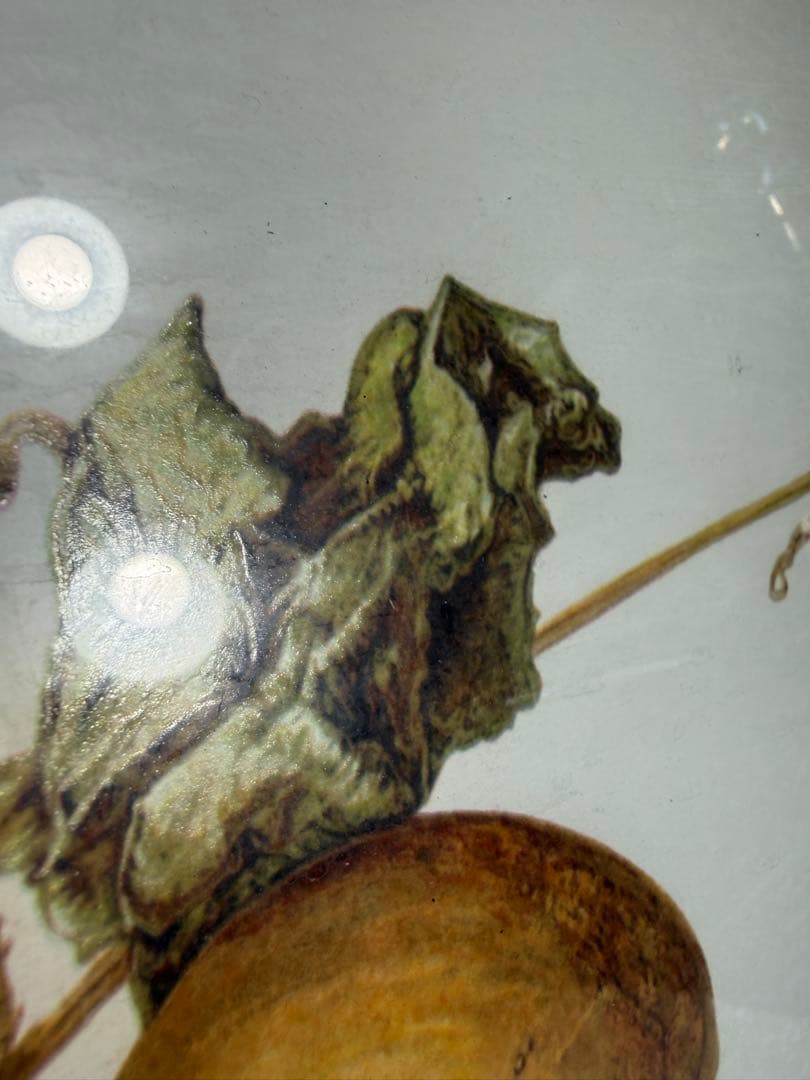 限定25/175 植物写実版画 額装 M.Tateishi ボタニカルアート - メルカリ