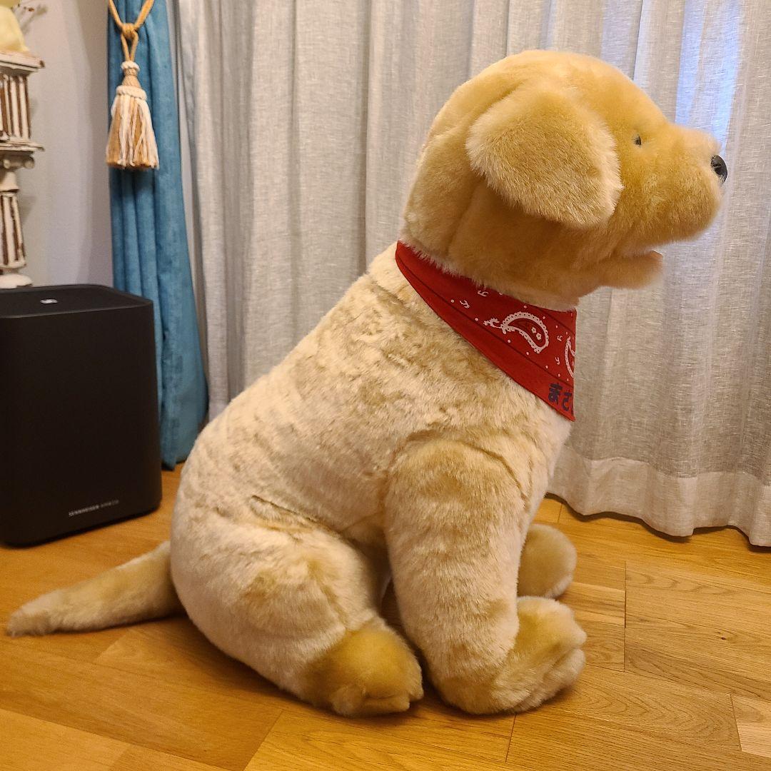 ポチたま　まさお君が行く　ペットの旅　LOVEまさお君が行く　ラブラドール