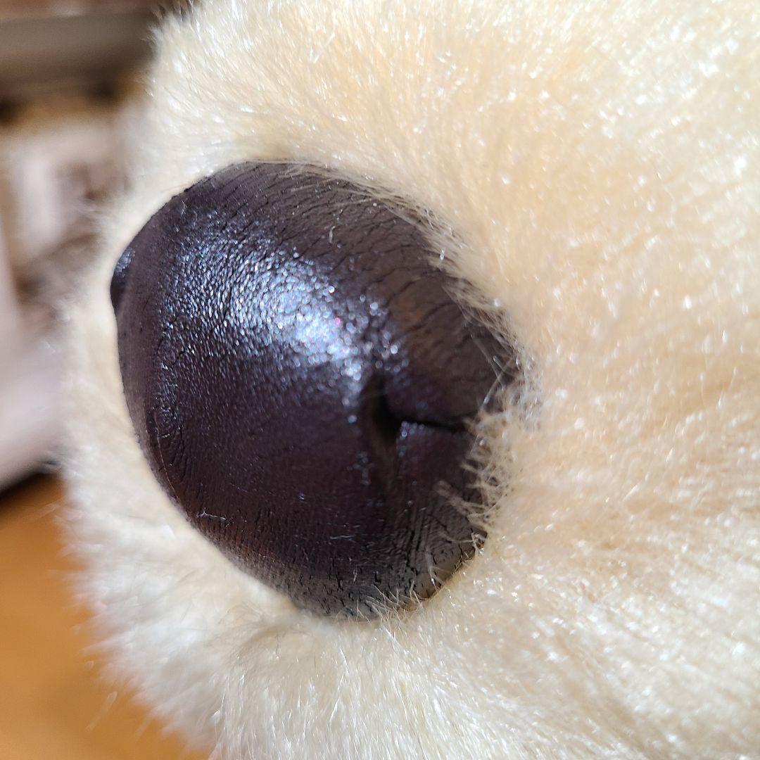 ポチたま　まさお君が行く　ペットの旅　LOVEまさお君が行く　ラブラドール