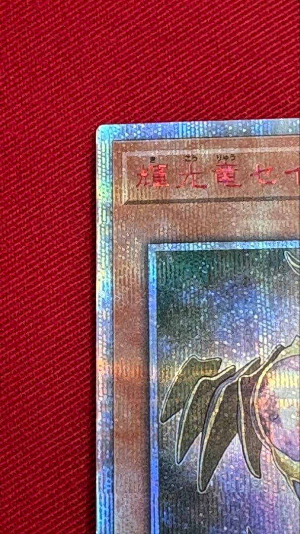 遊戯王 輝光竜セイファート 20th シークレット