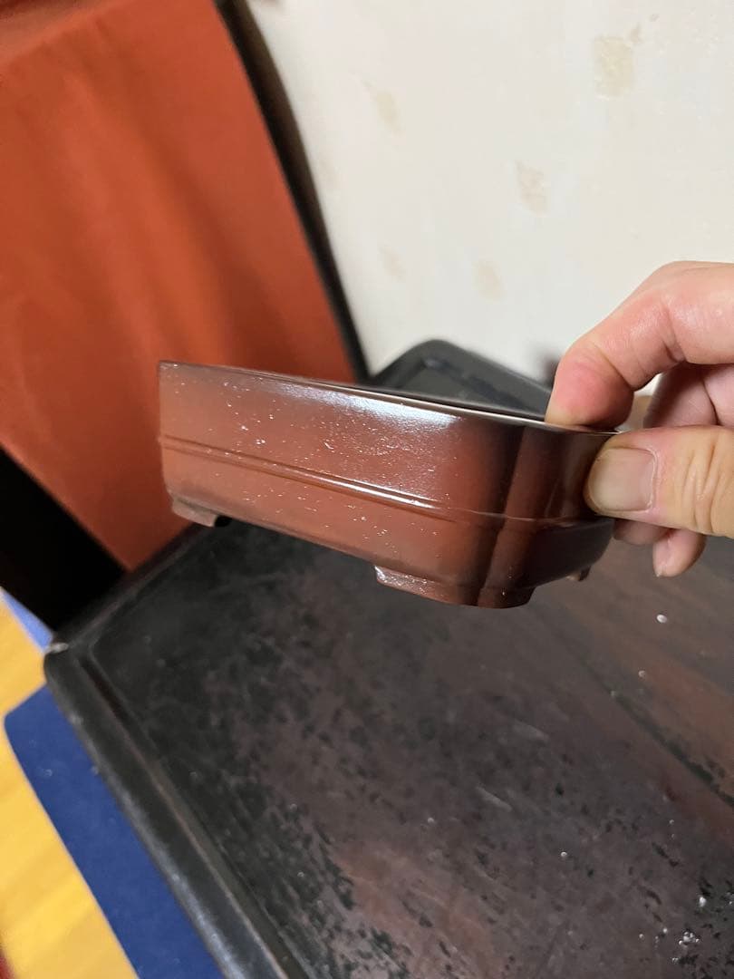 470 盆栽　盆栽鉢　植木鉢　和鉢　美芸