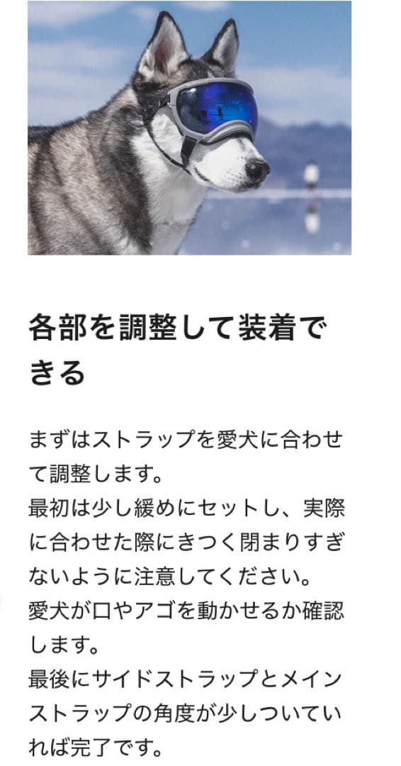 ALPHAICON アルファアイコン REXSPECS ドッグゴーグル ブラック