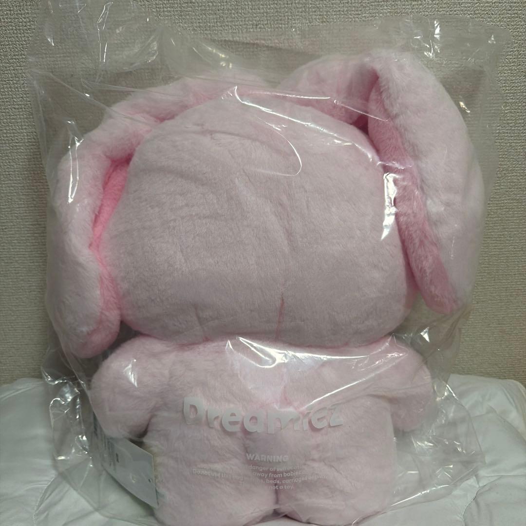 NCT DREAM Dreamiez フラット　ジェミン　kkyuping