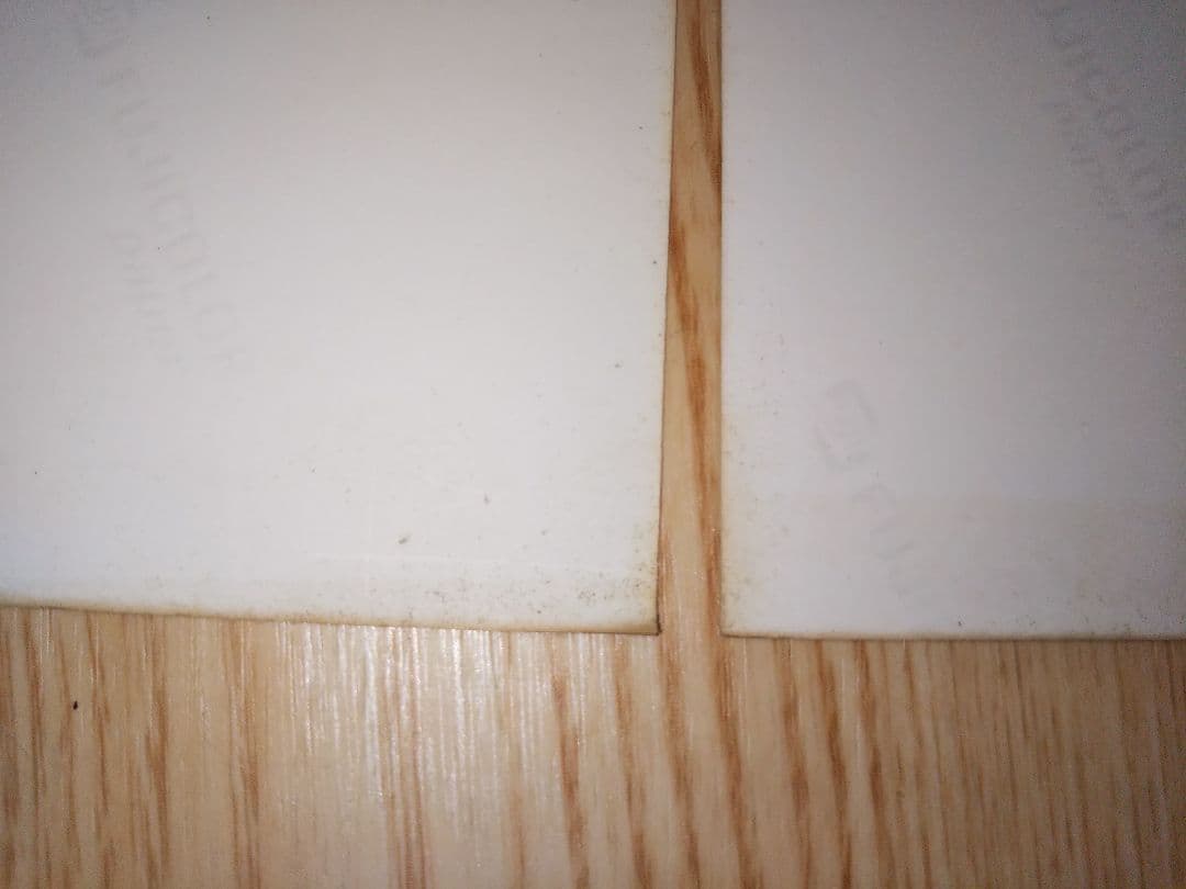 ダウンタウン 生写真２枚組