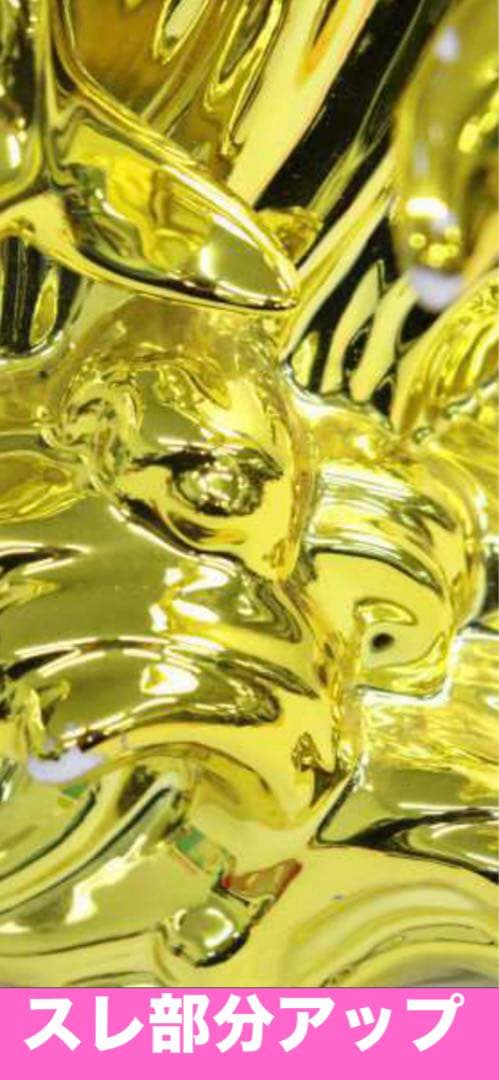 希少♦️ドルフィン ブランデー♦️人気のゴールド♦️仲良し2匹