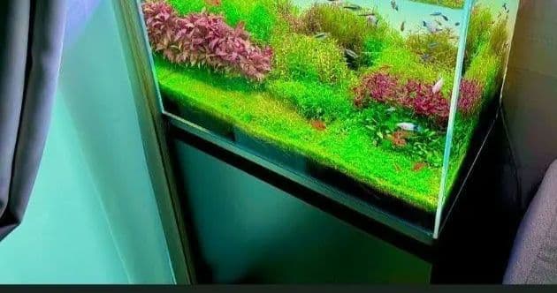 水槽フルセット 東京都内限定無料配送 翌日発送