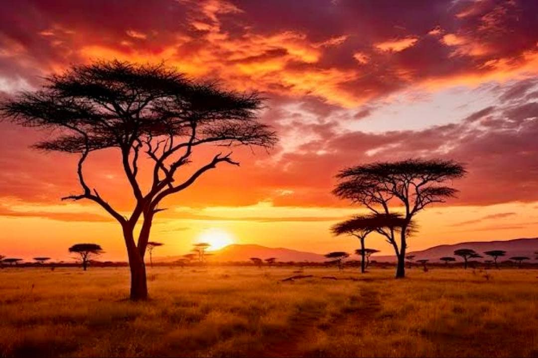 もふもふ様用　二点おまとめ　夢幻品質　アルティメイトモンドクオーツのブレス