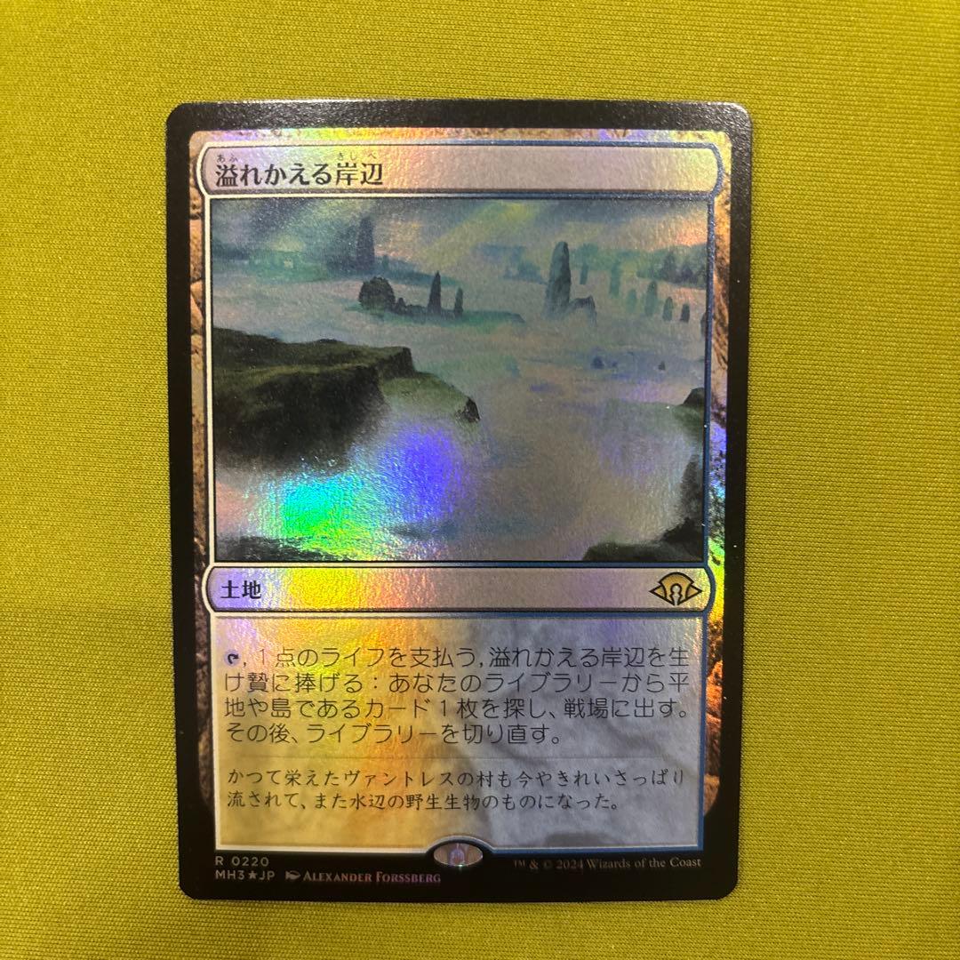 溢れかえる岸辺 foil - メルカリ