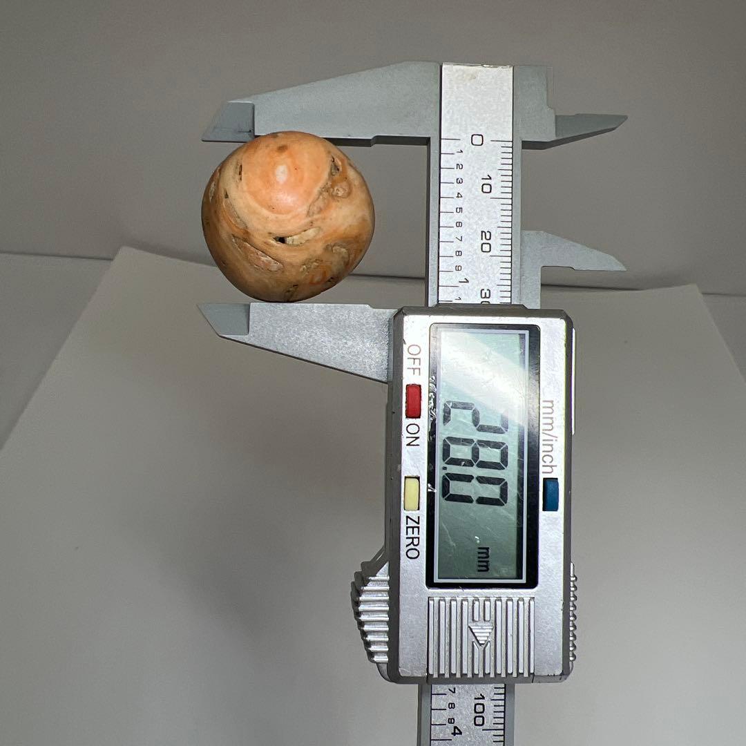 本赤珊瑚 特大 大玉 90g トヒサ 東さ7-1128☆2F