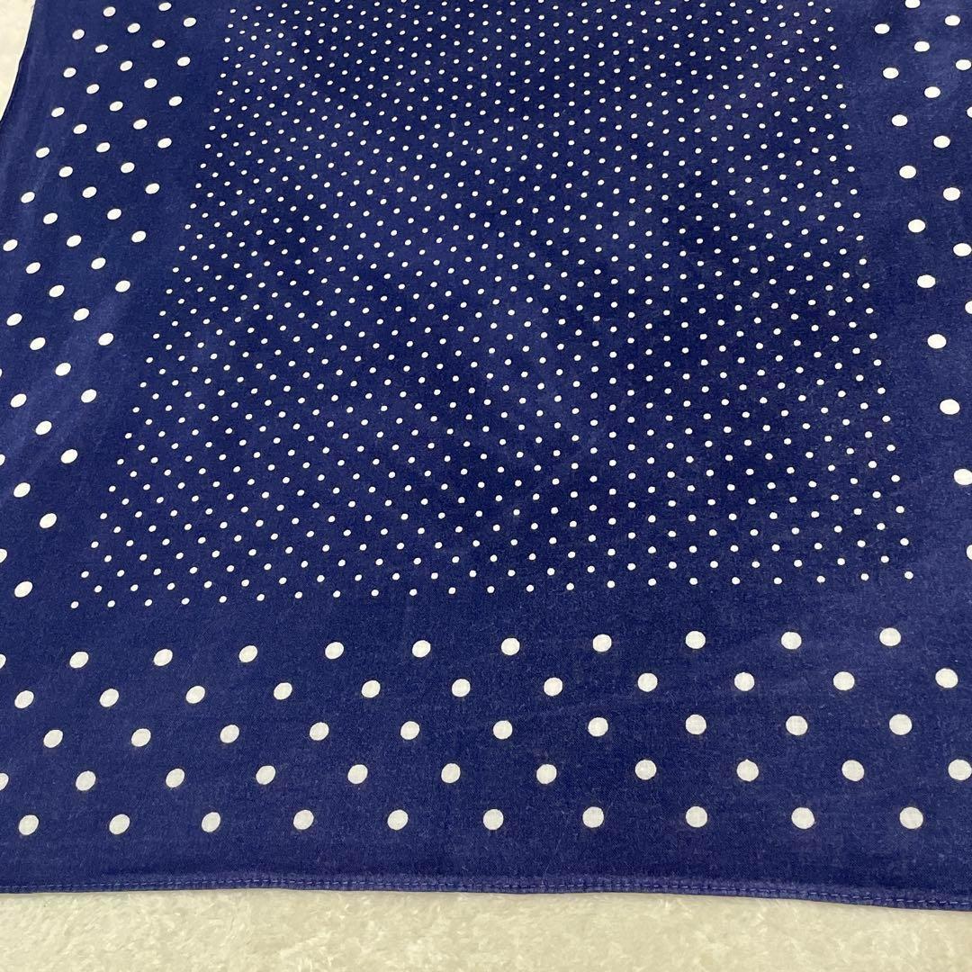 希少30s40s ポルガドット 下鼻 ゾウ 片耳 FAST COLOR