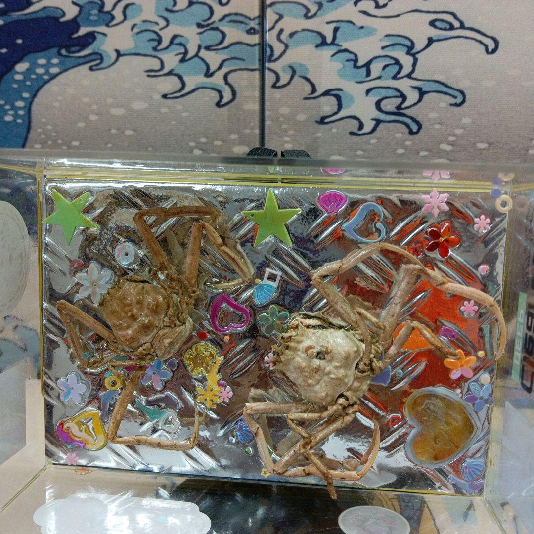 稀少平家怨霊讃岐國屋島檀ノ浦長門國下関壇之浦源平合戦凹凸
