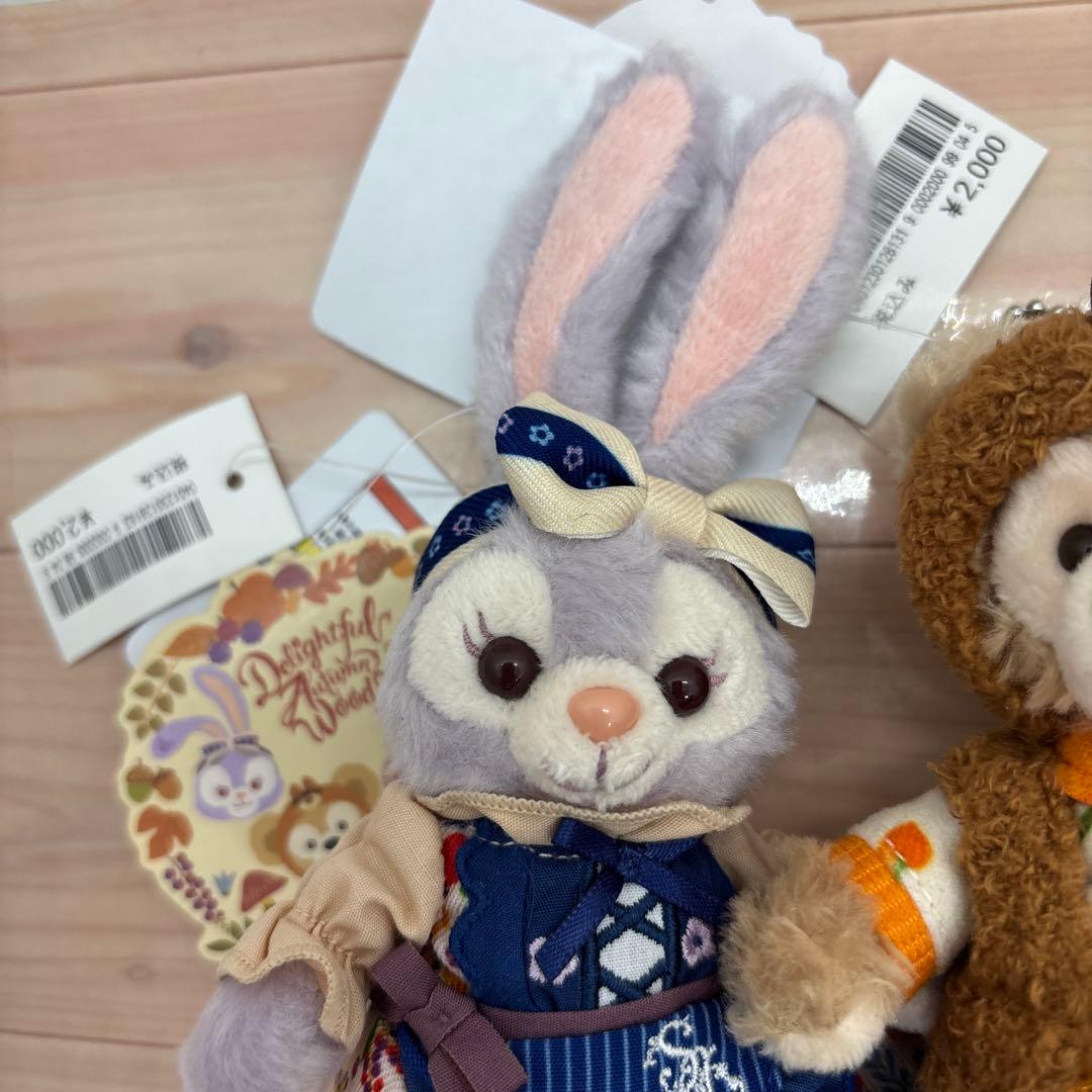 専用 秋のぼうけんぬいぐるみバッジ#863