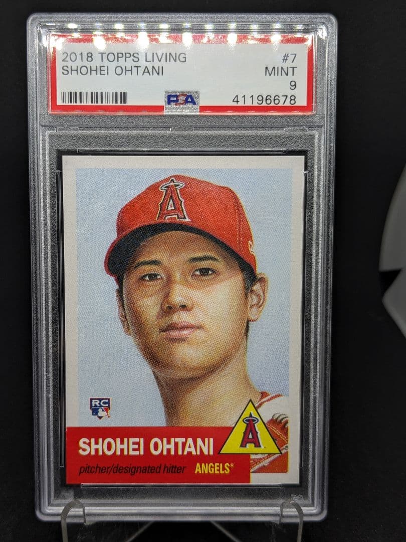 コレクターズアイテム】ラグーナアゲート11点セット 【コレクターズ