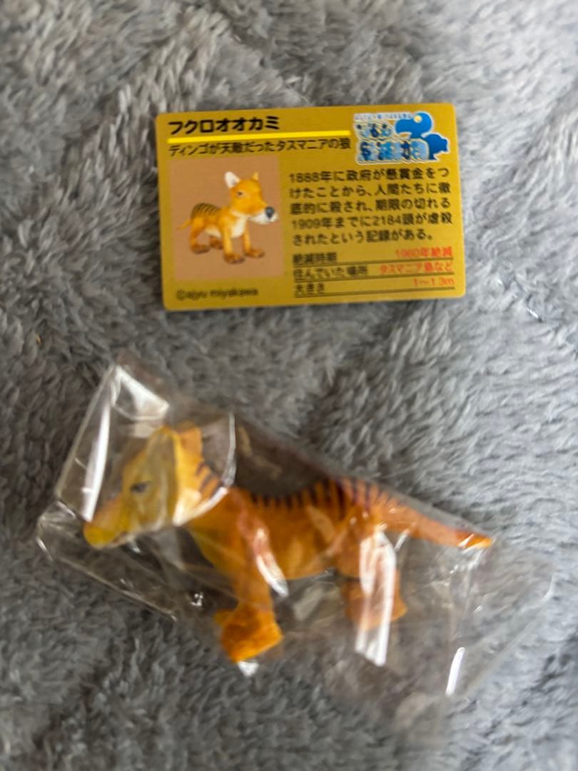 戦え絶滅動物PART2 宮川アジ　ドードー　マンモス　オオカミ　アシカ　キタタキ