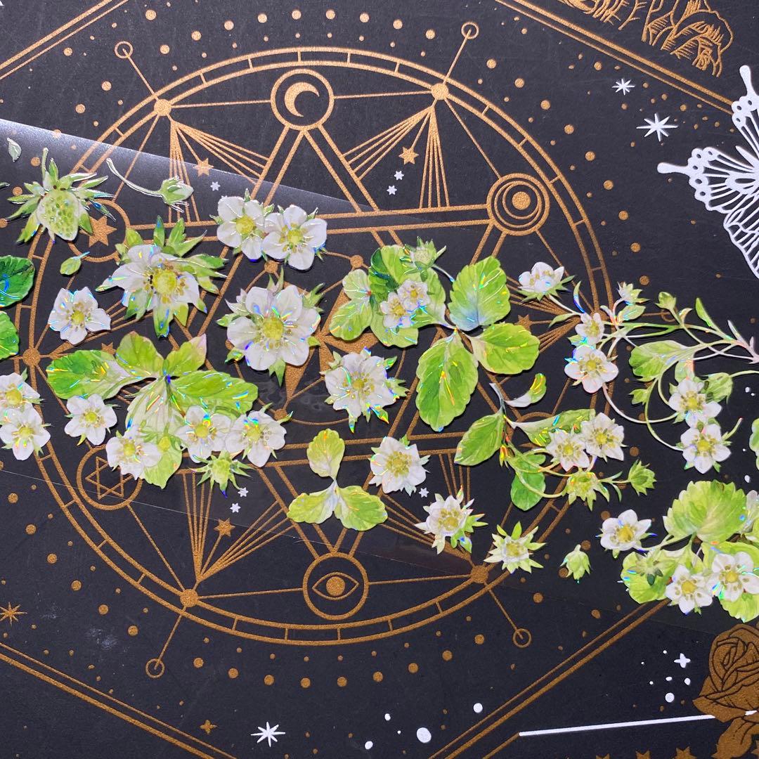 9243】海外 マステ 中古巻 貝殻光マスキングテープ 苺 果物 お花 装飾系