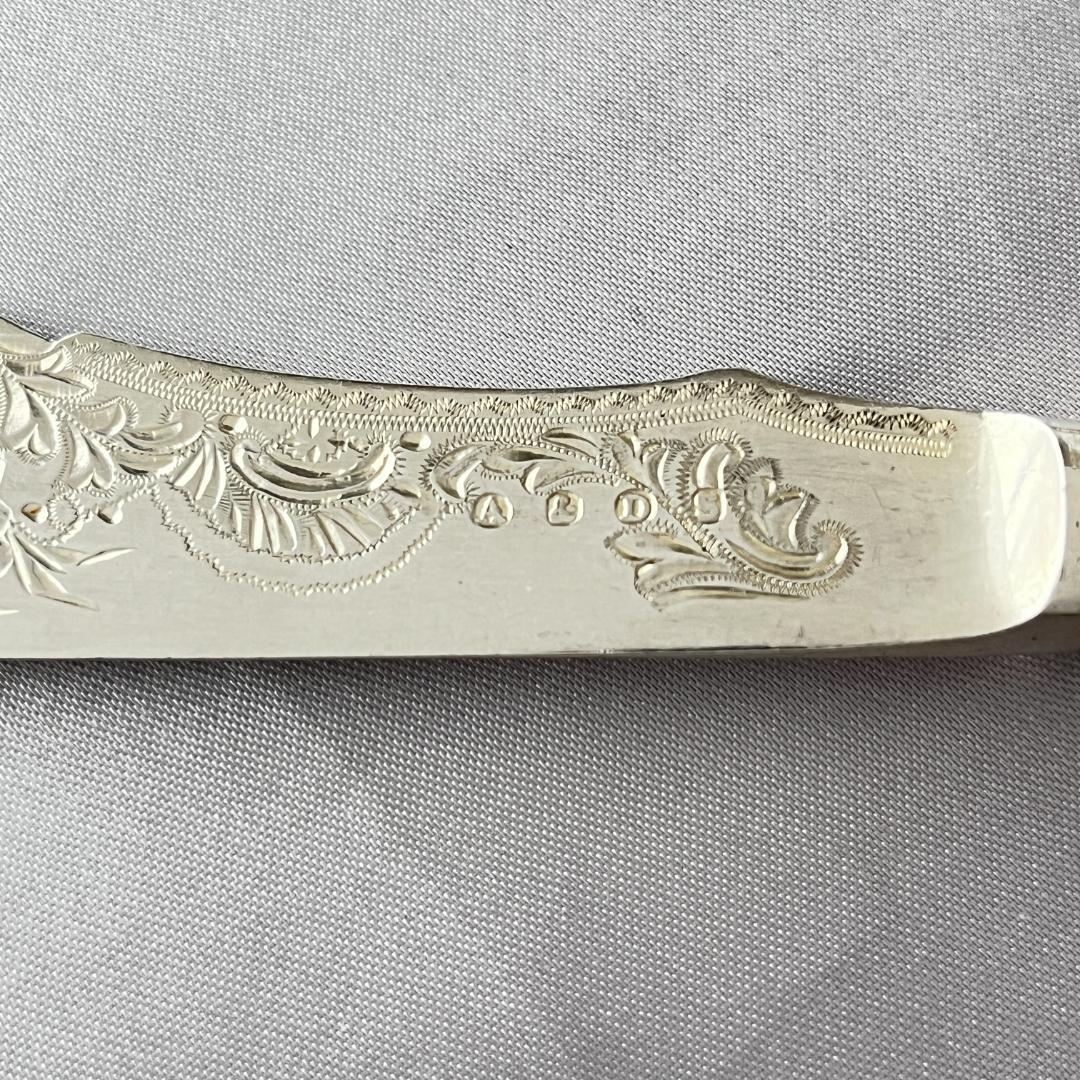 Allen & Darwin】【白蝶貝】ベリーサーバー / バターナイフ