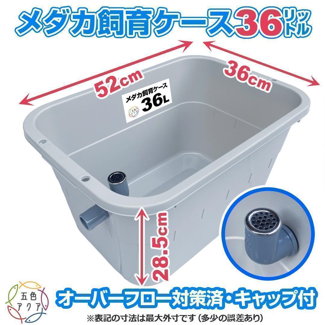 新仕様】メダカ飼育ケース 36㍑x3個（4色あり）オーバーフロー対策済 金魚