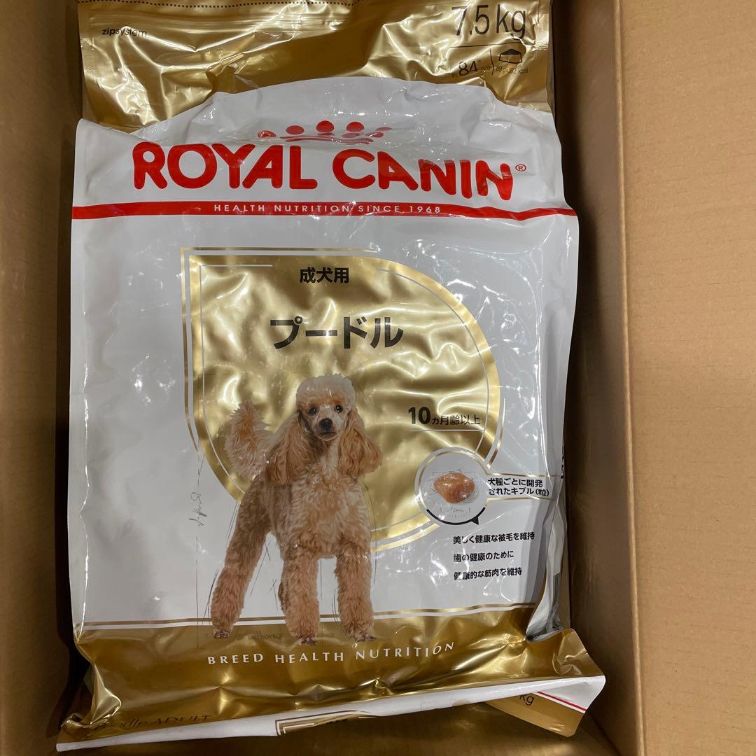 departures 犬服日本製CROWN