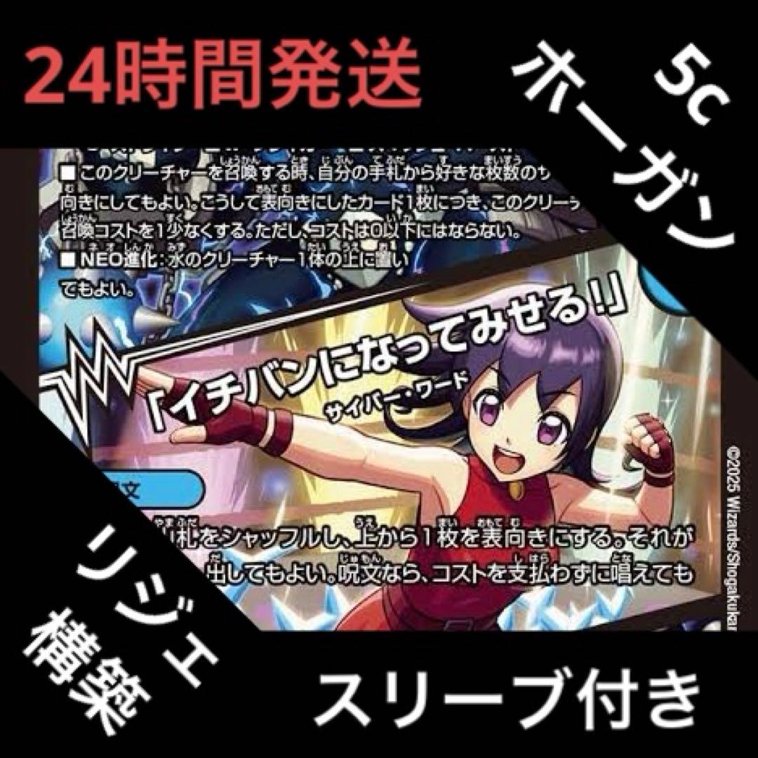 5cホーガン デッキ 5cホーガン デッキ