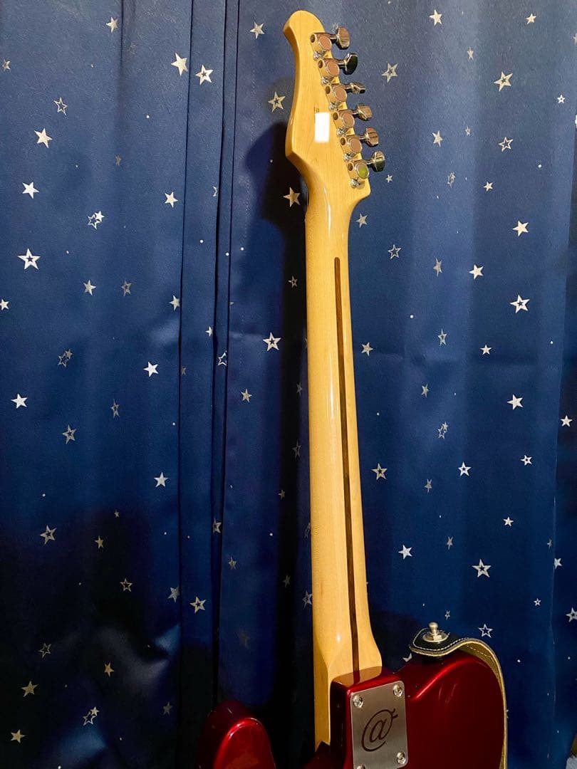 Selva STL350 Telecastder Deluxe (改造)