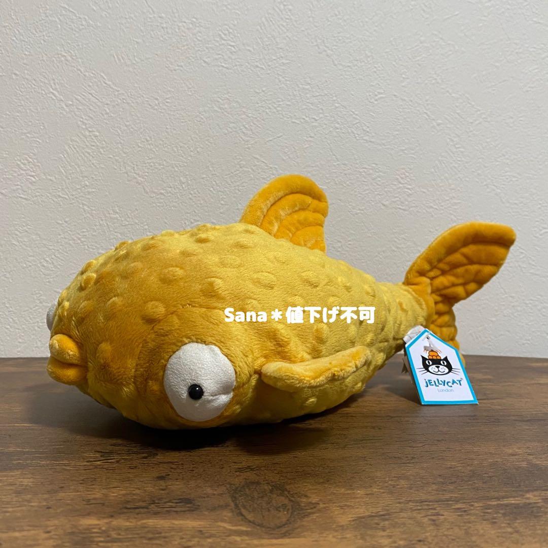 新品　ジェリーキャット　Gracie Grouper Fish ハタ　魚　金魚