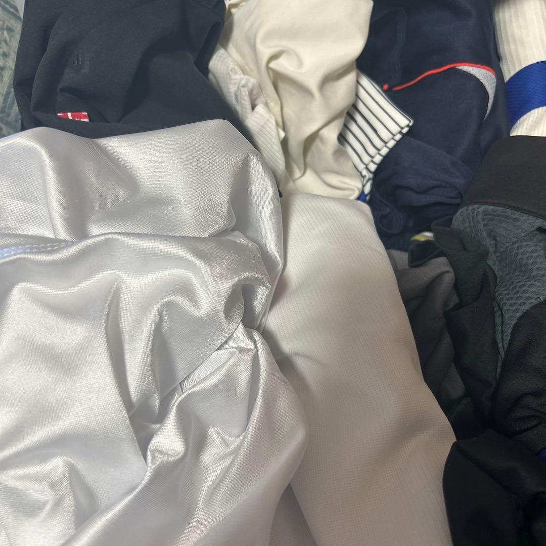 化石 澄江産 アノマロカリスの腕 博物館級 実物 値段交渉可能