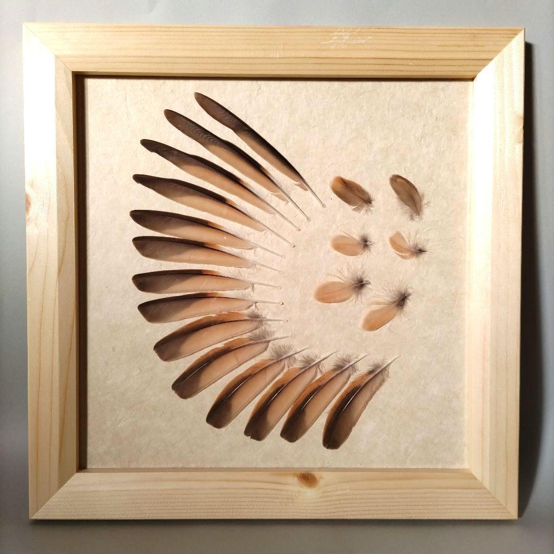【匿名配送】ツグミ 羽根 風切 アートフレーム 木製写真額 四ツ切 ホワイト | 木製フレーム | フォトフレーム