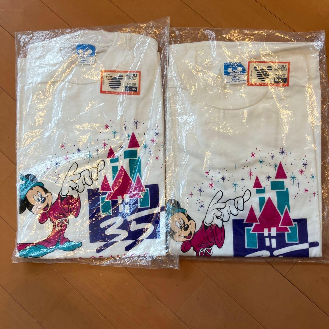 サメの歯 インテリア コレクション まとめ売り サメの歯の化石 セット