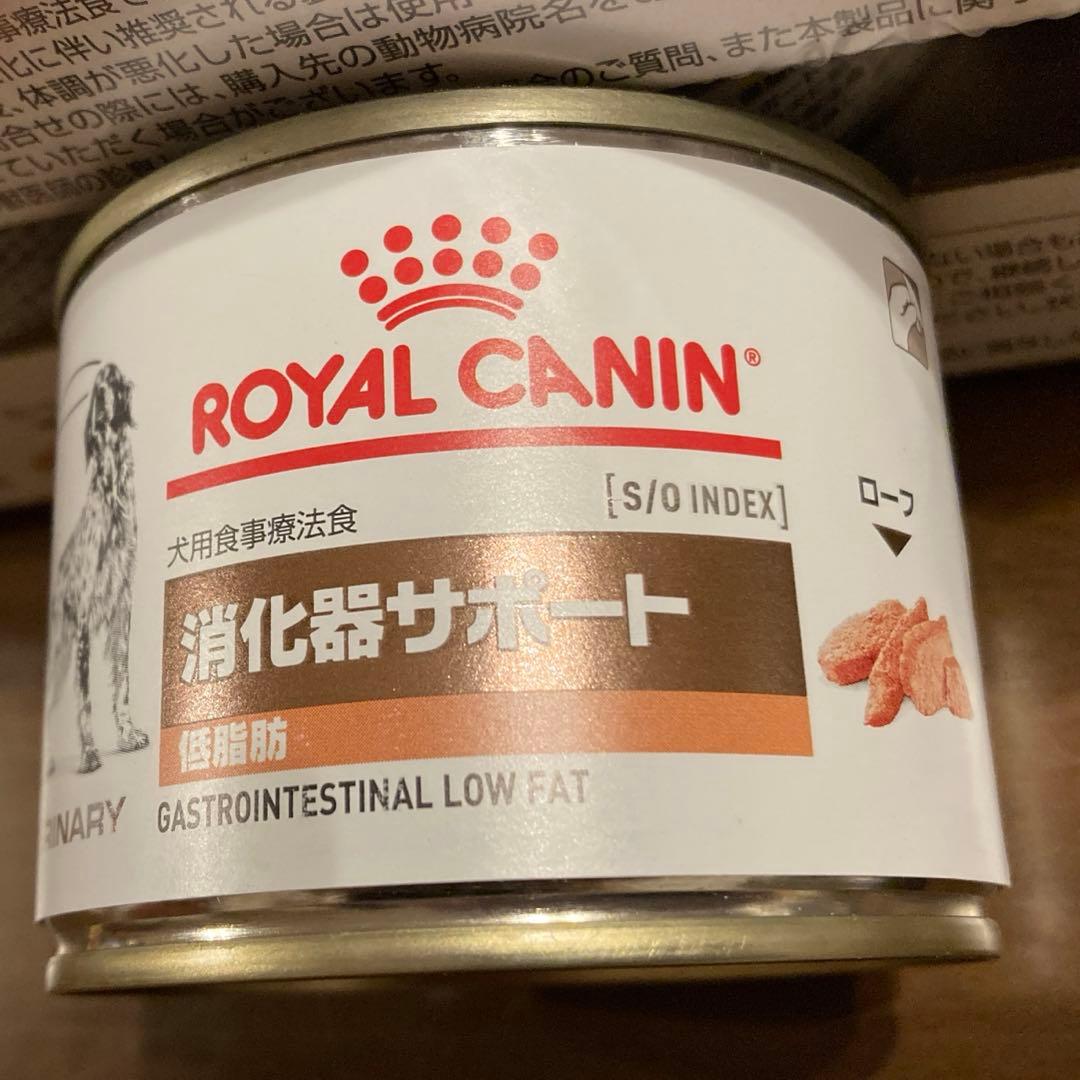 ロイヤルカナン消化器サポート 24缶 消費期限2025/11/12