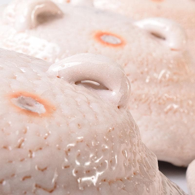 和食器　美濃焼　陽山窯　三代　水野雅之作　志野向付　五客揃　共箱　VR8272H