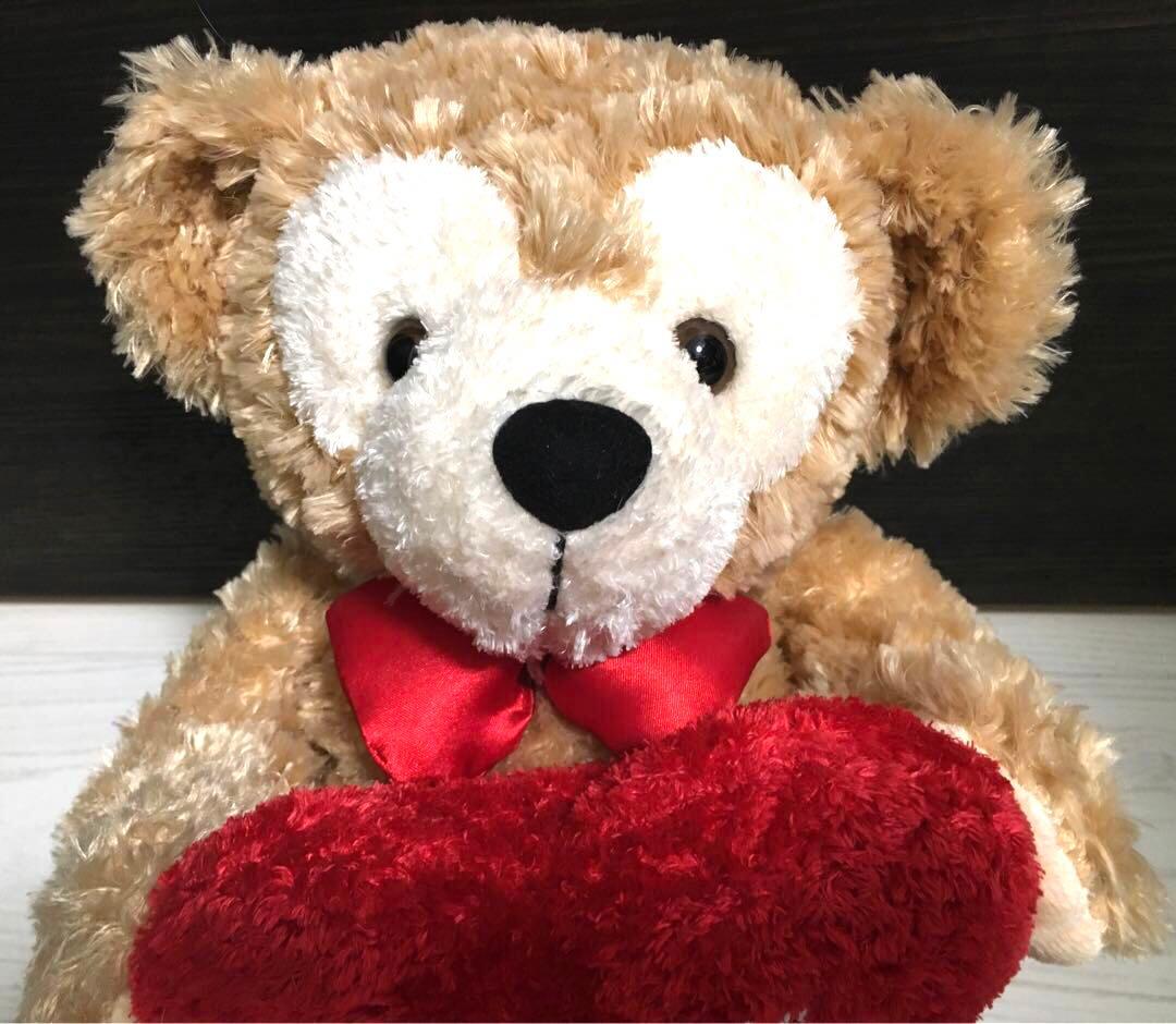 ダッフィー ぬいぐるみ 2005年 初期 白タグ ハグミー チャイナ