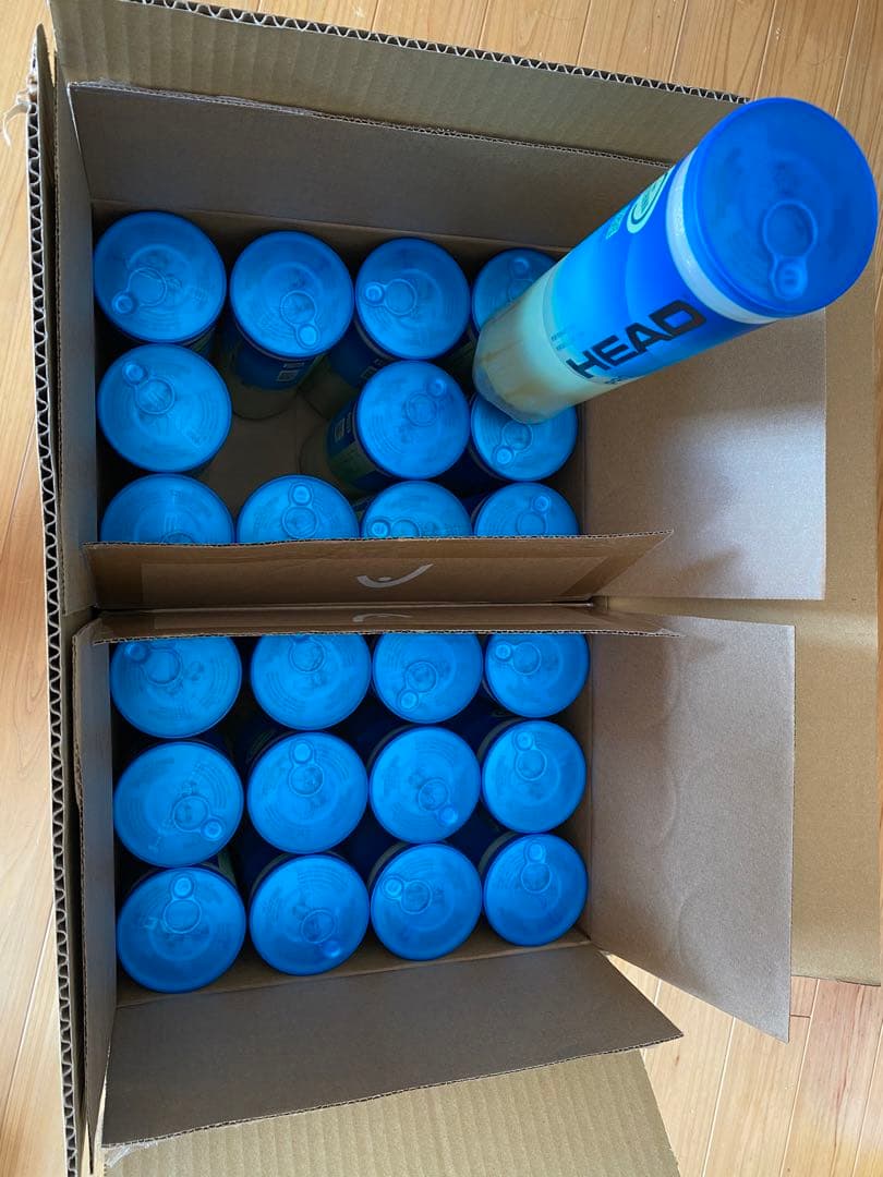 HEAD PRO テニスボール 96球 テニスボール