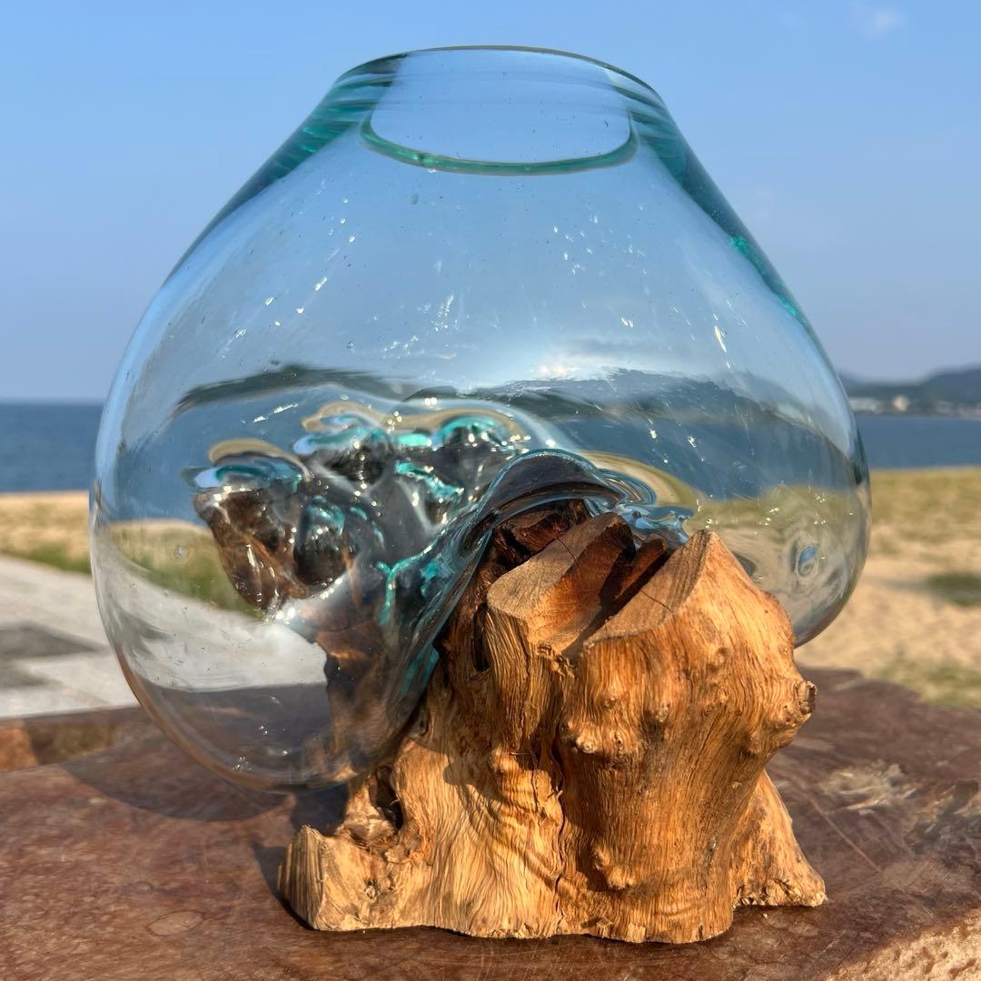 流木ガラス オブジェ中P 花瓶 金魚鉢 ガーデニング テラリウム 観賞魚
