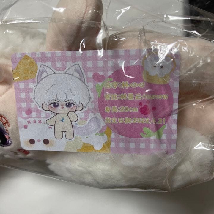 *激レア*おまけ付きZeeNunew 着せ替えぬいぐるみセット